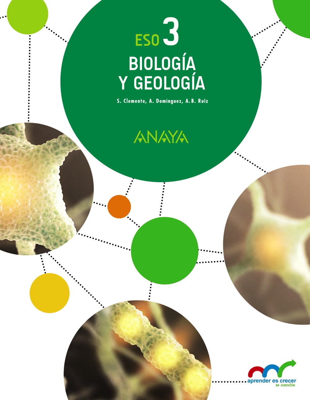 Solucionario Biologia Y Geologia Eso Anaya Aprender Es Crecer Pdf Ejercicios Resueltos