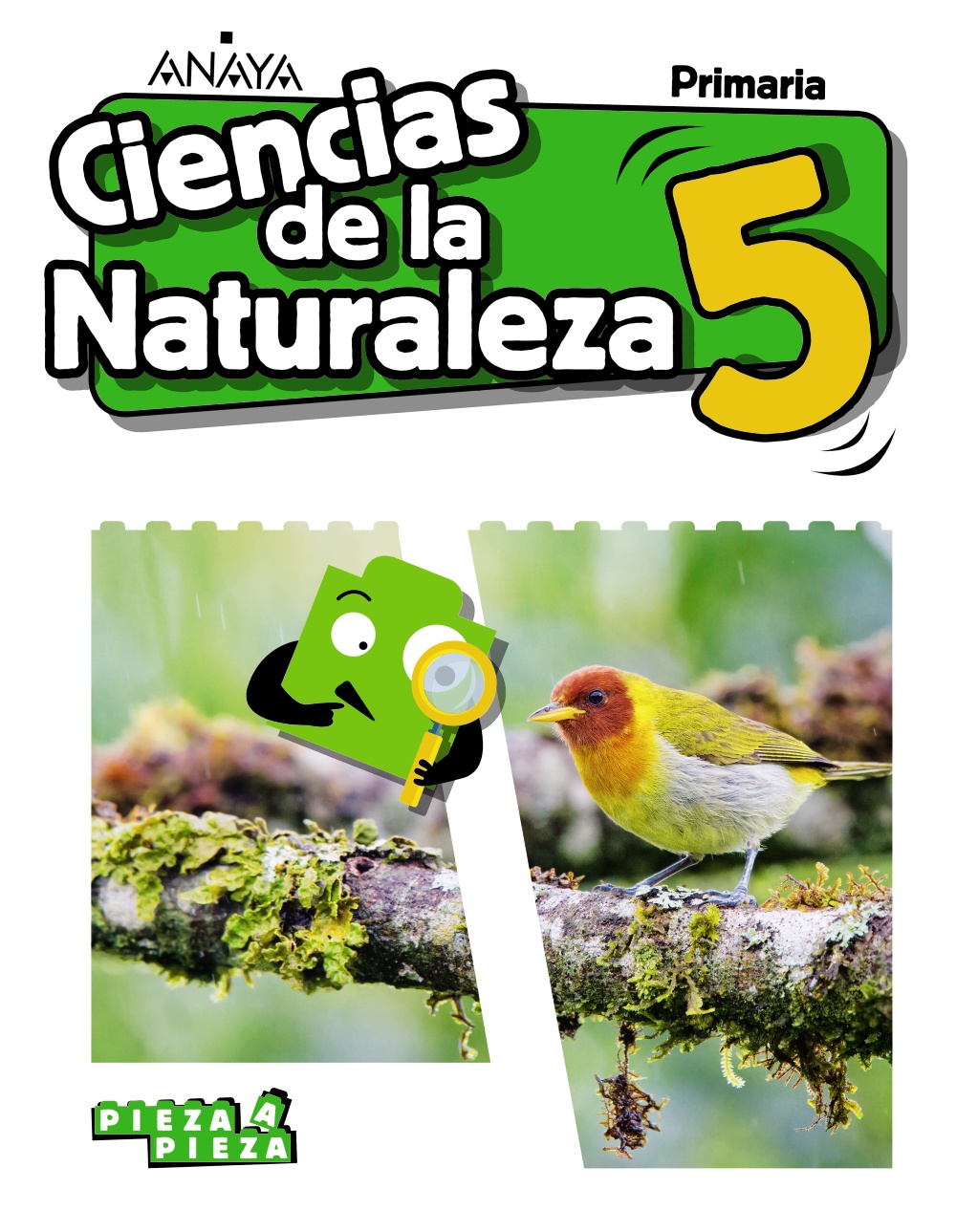 Solucionario Ciencias de la Naturaleza 5 Primaria Anaya Pieza a Pieza Soluciones PDF-pdf