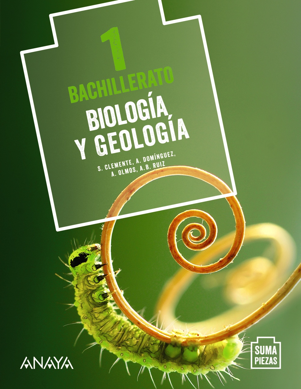 Solucionario Biologia y Geologia 1 Bachillerato Anaya Suma Piezas-pdf