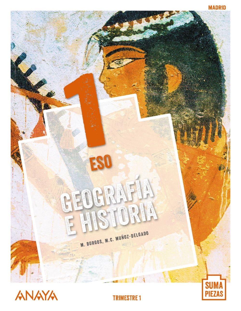 Solucionario Geografia e Historia 1 ESO Anaya Suma Piezas PDF Ejercicios Resueltos-pdf