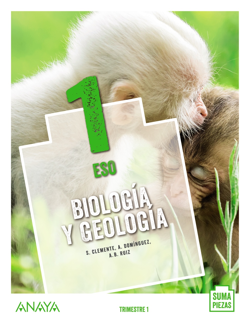 Solucionario Biologia y Geologia 1 ESO Anaya Suma Piezas Soluciones PDF-pdf
